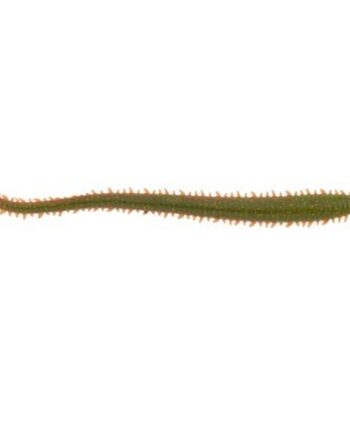 Berkley Sandworm Gulp Camo