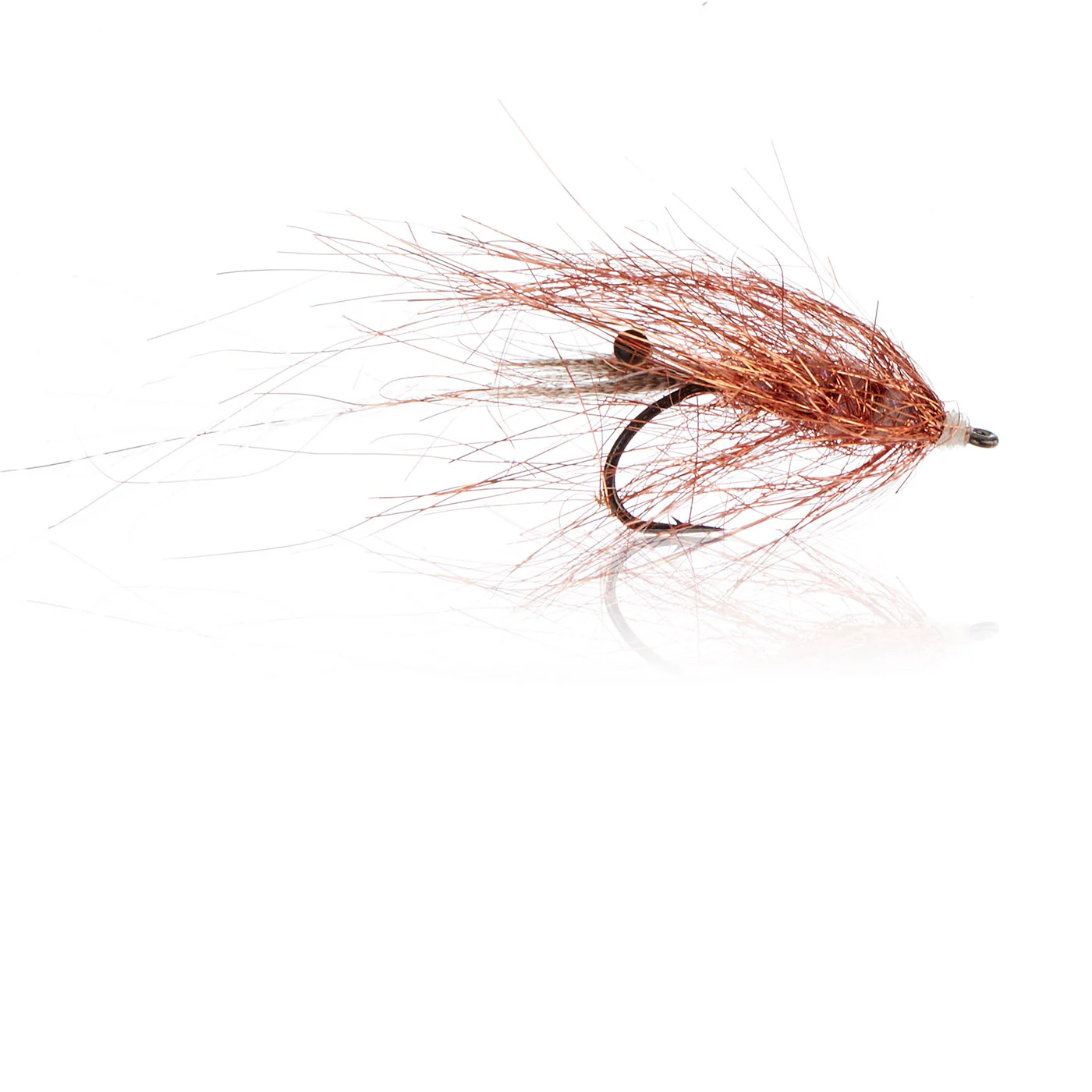 Copper Shrimp Kystflue
