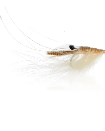 Crangon Shrimp Cream  Kystflue