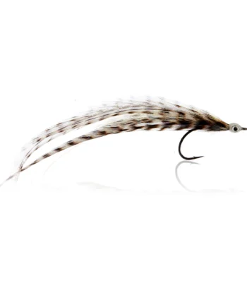 Flatwing Tobis  Kystflue