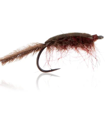 Gammariden Brown  Kystflue