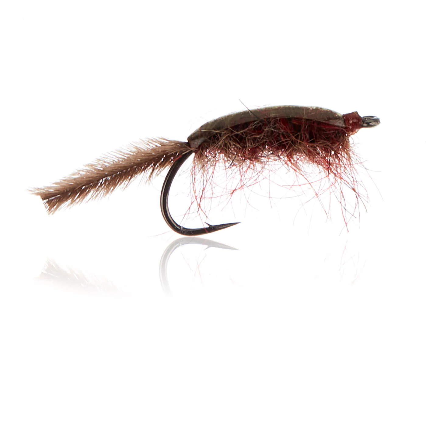 Gammariden Brown Kystflue