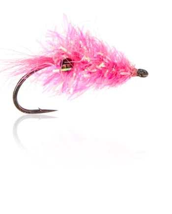 Glimmer Rejen Pink Kystflue