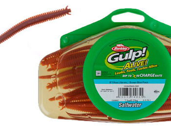Gulp Børsteorm Brown Blue
