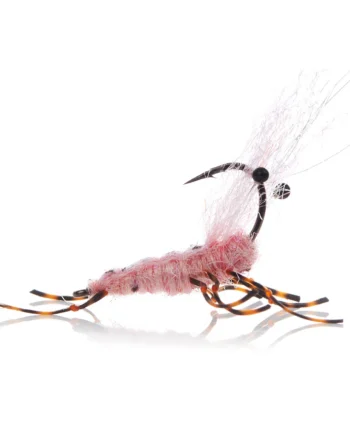 Honey Schrimp Pink  Kystflue