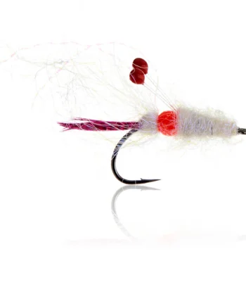 Hot Spot Shrimp Pink   Kystflue