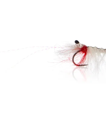 John Shrimp White  Kystflue