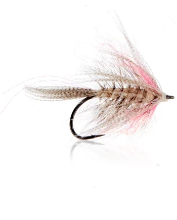 Kelly Kystflue