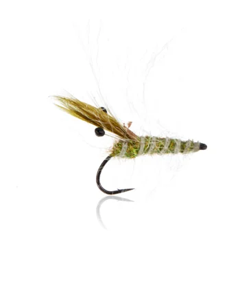 Panic Shrimp Olive  Kystflue