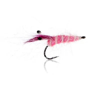 Panic Shrimp Pink  Kystflue