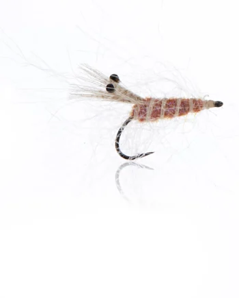 Panic Shrimp Tan  Kystflue