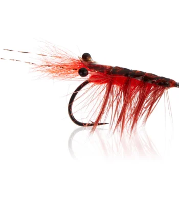 Polarrejen Fire Orange  Kystflue