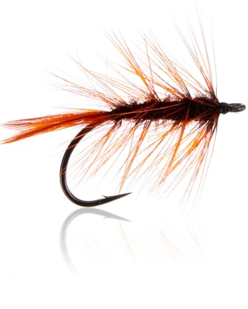 Rusty Magnus  Kystflue