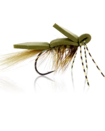 Skumflue Olive  Kystflue