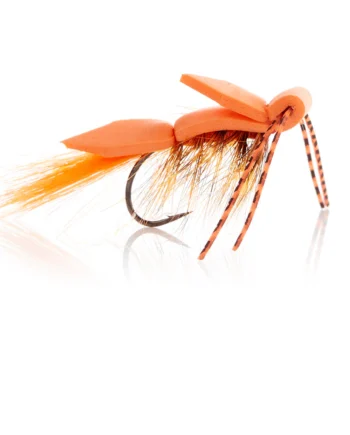 Skumflue Orange  Kystflue