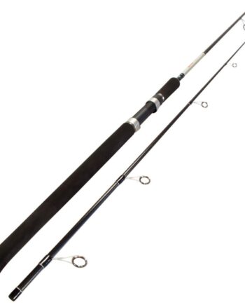 Dlt Arrow Spin    10-25gr Spinnestang