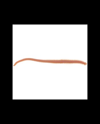 Gulp  Alive Børsteorm Brown Berkley Gulp  Alive