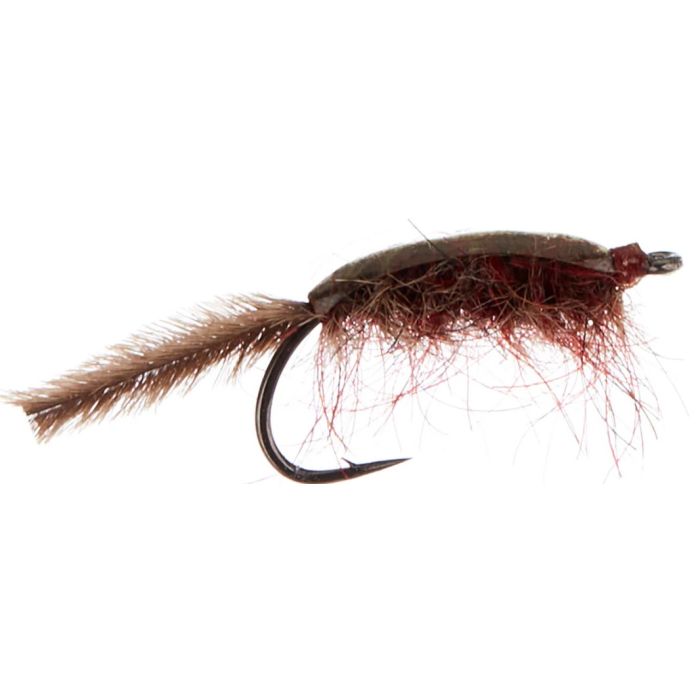 Jensen Gammariden Brown