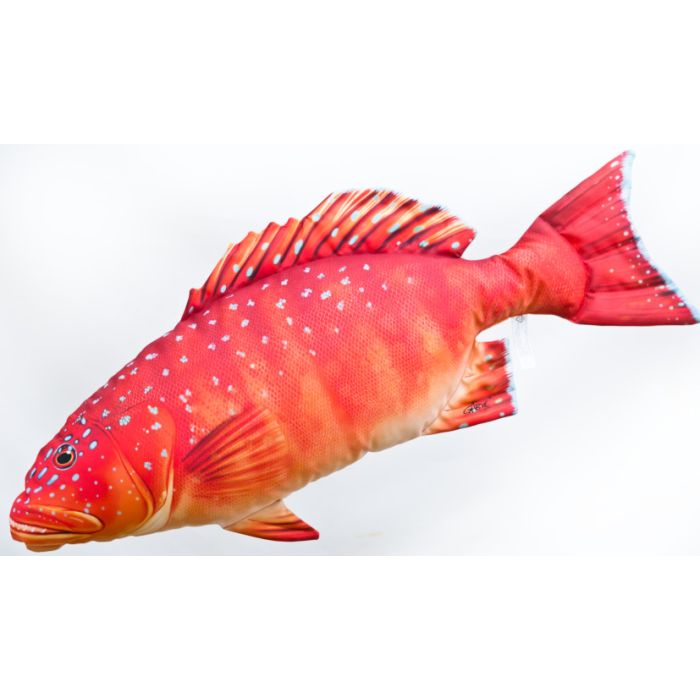 Gaby Coral Trout Pude