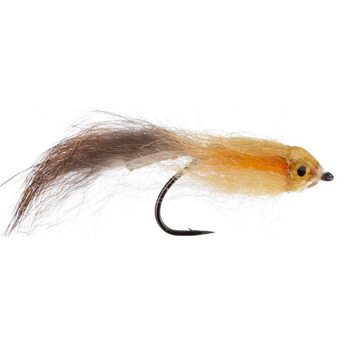 Jensen Lubbe Kutlingen Light