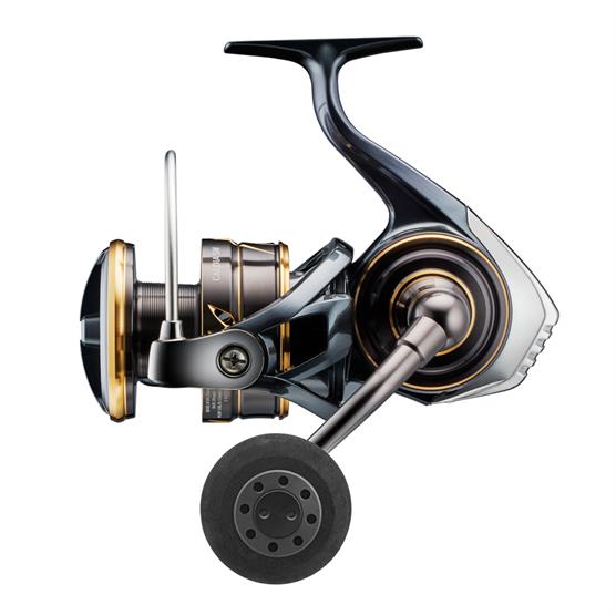 Daiwa 22 Caldia Sw