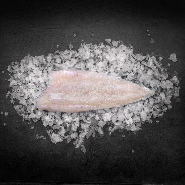 Dansk Lyssejfilet