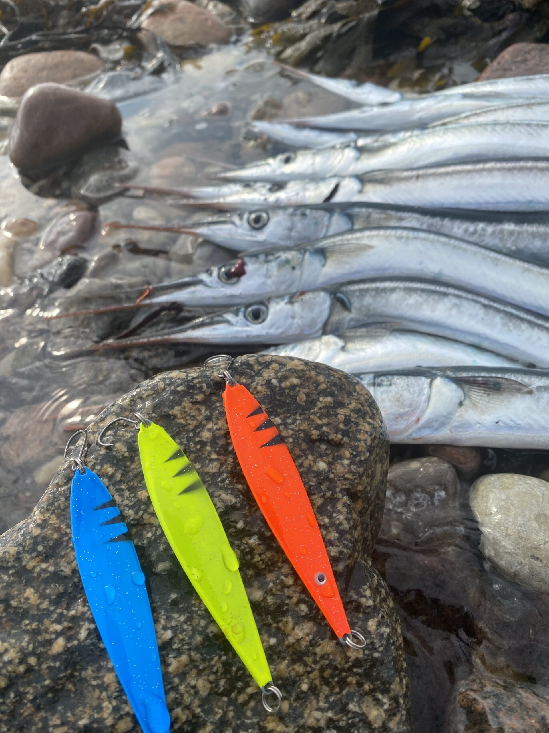 Fishnote Salty 18g Hornfisk Kyst Pakken