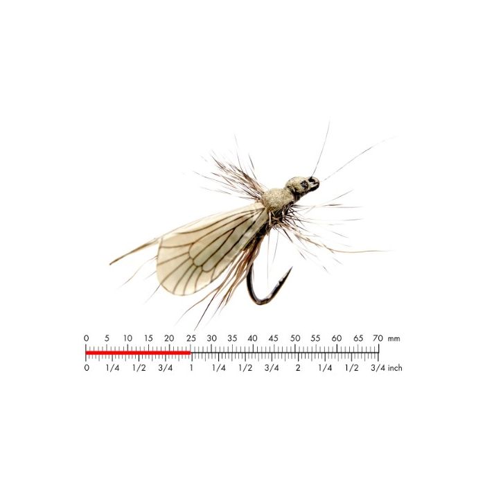 :on Caddis Adult   Ash Grey  12