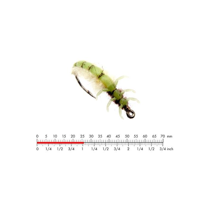 :on Caddis Larva   Green