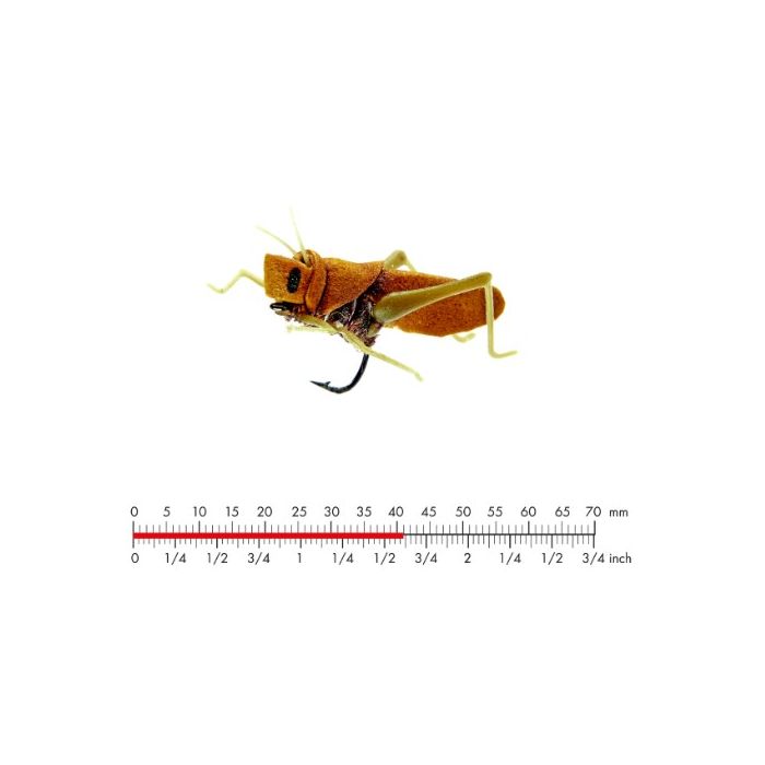 :on Hopper   Cinnamon Brown