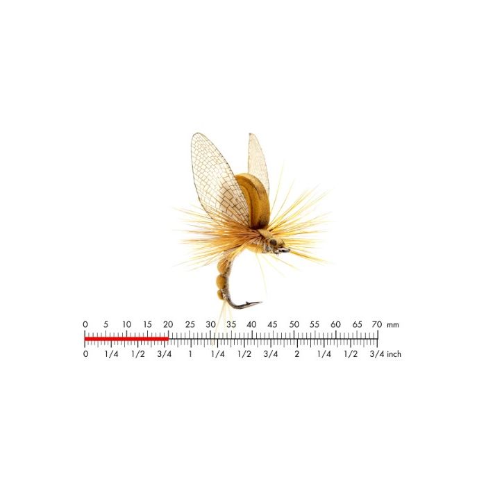 :on Mayfly Emerger   Olive Brown  10