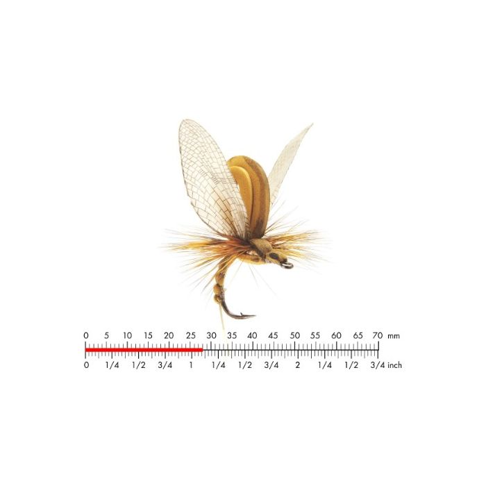 :on Mayfly Emerger   Olive Brown
