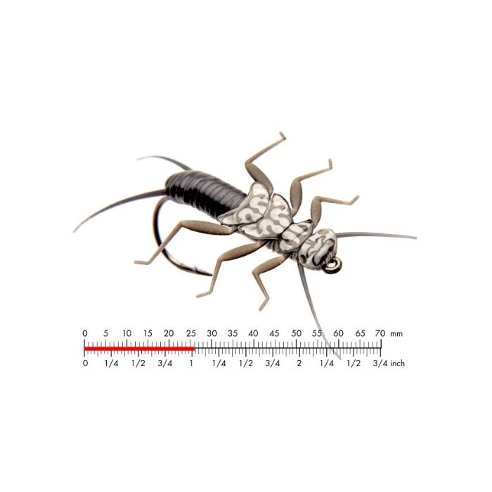 :on Stonefly Nymph   Black