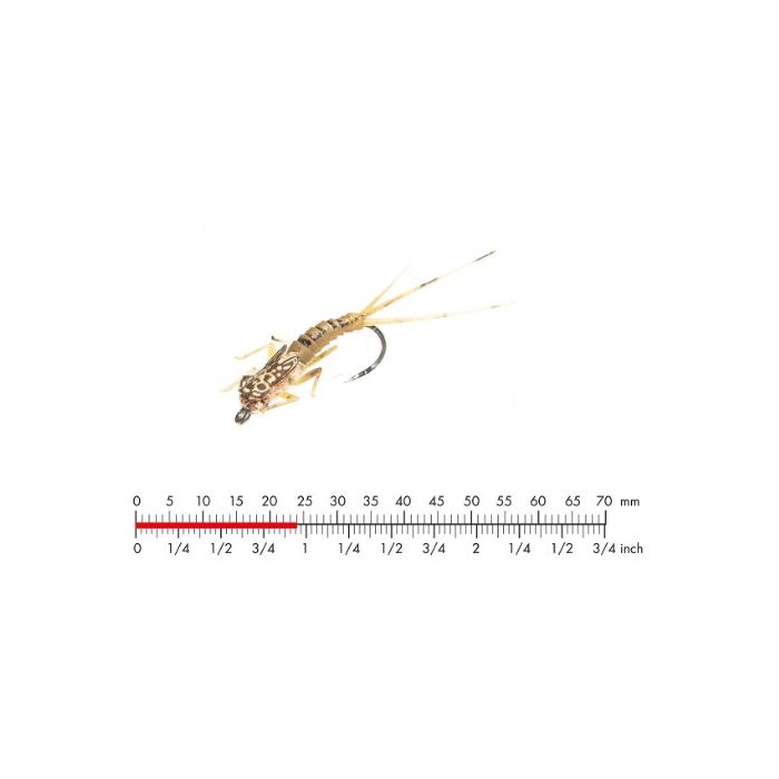 :on Tungsten Mayfly Nymph   Olive Brown
