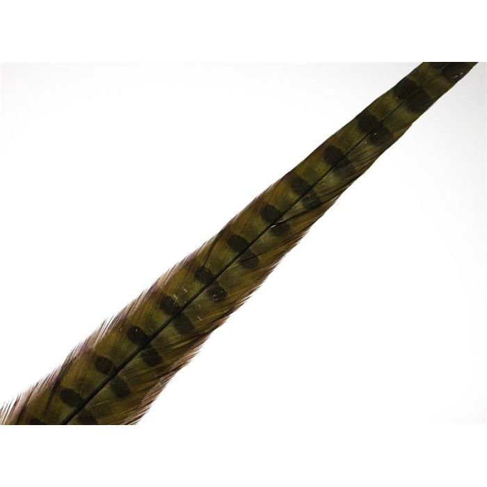 Wapsi Ringneck Tail Feathers Olive Pair